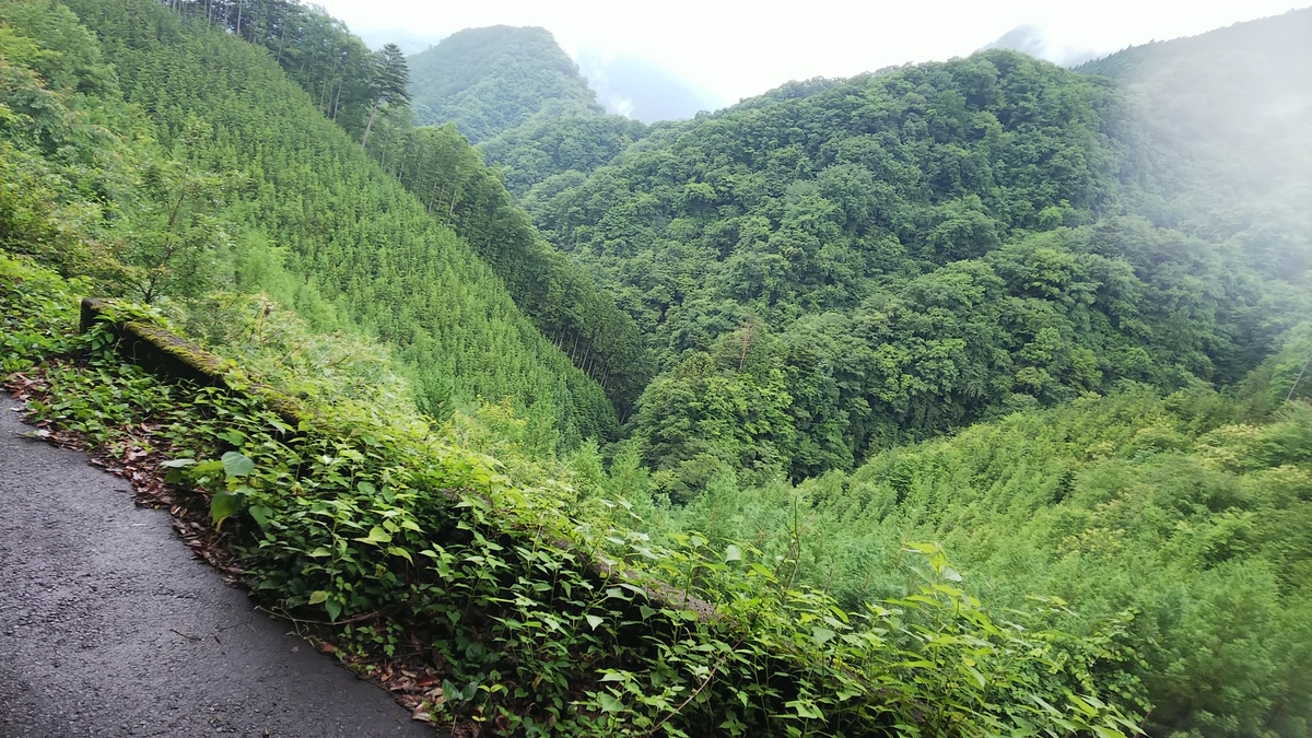 f:id:nyarga:20190629213801j:plain f:id:nyarga:20190629213801j:plain