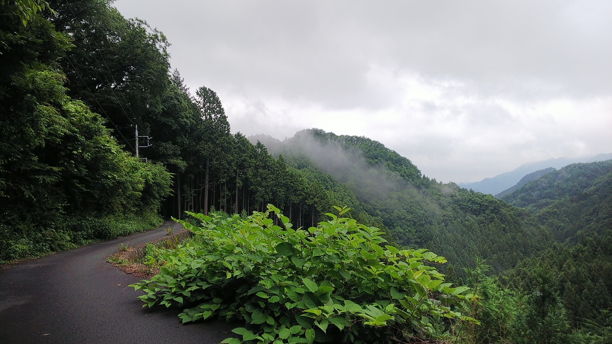 f:id:nyarga:20190629214101j:plain f:id:nyarga:20190629214101j:plain