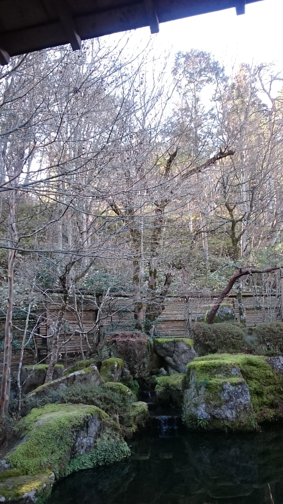 f:id:nyaro_mero:20190102234516j:plain f:id:nyaro_mero:20190102234516j:plain