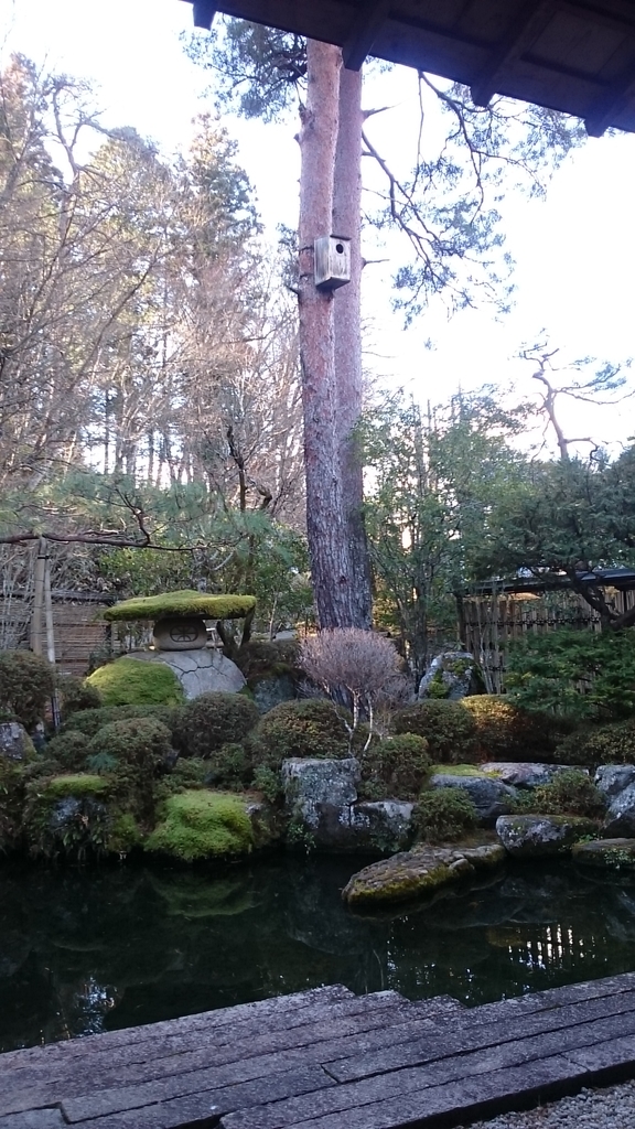 f:id:nyaro_mero:20190103001710j:plain f:id:nyaro_mero:20190103001710j:plain