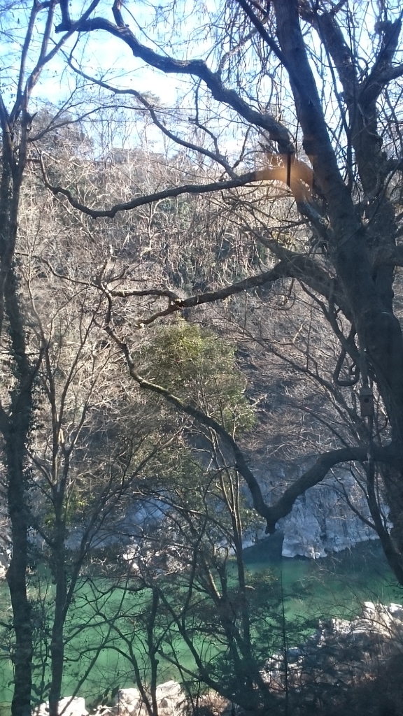 f:id:nyaro_mero:20190103001901j:plain f:id:nyaro_mero:20190103001901j:plain