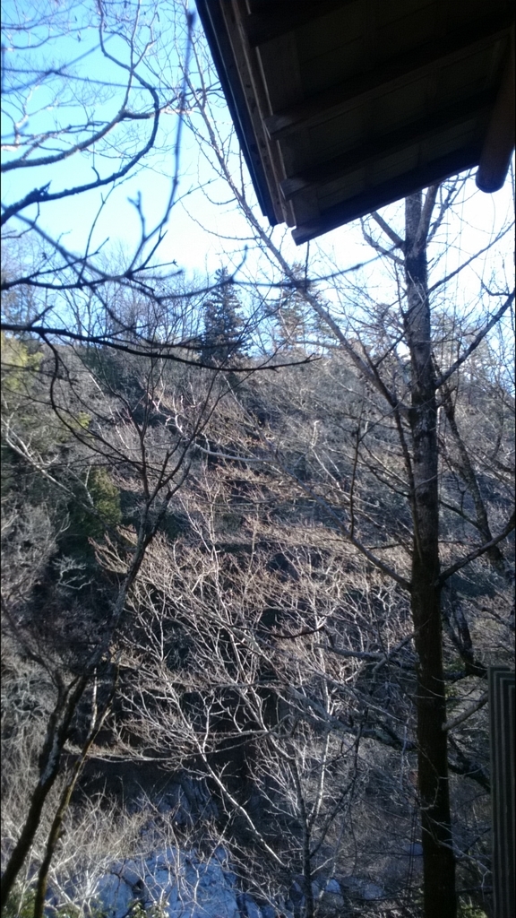 f:id:nyaro_mero:20190103002527j:plain f:id:nyaro_mero:20190103002527j:plain