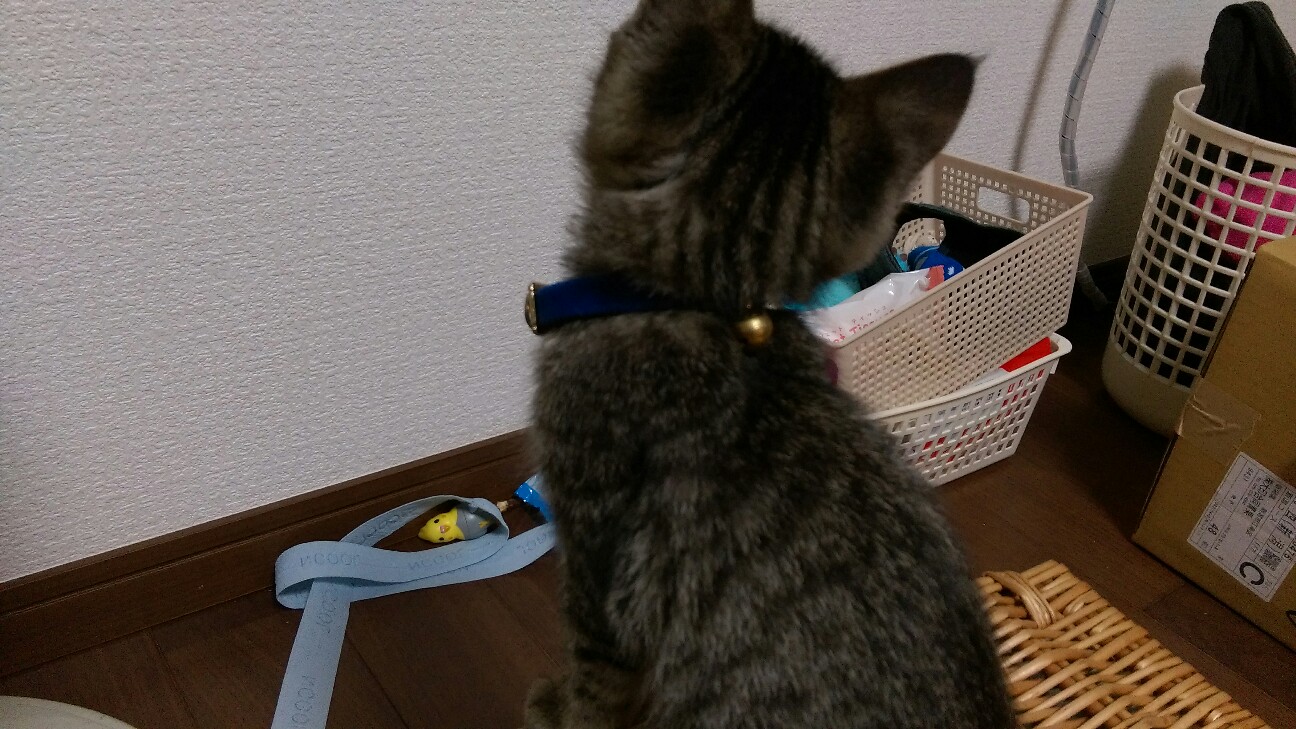f:id:nyarome12:20160726183422j:image f:id:nyarome12:20160726183422j:image
