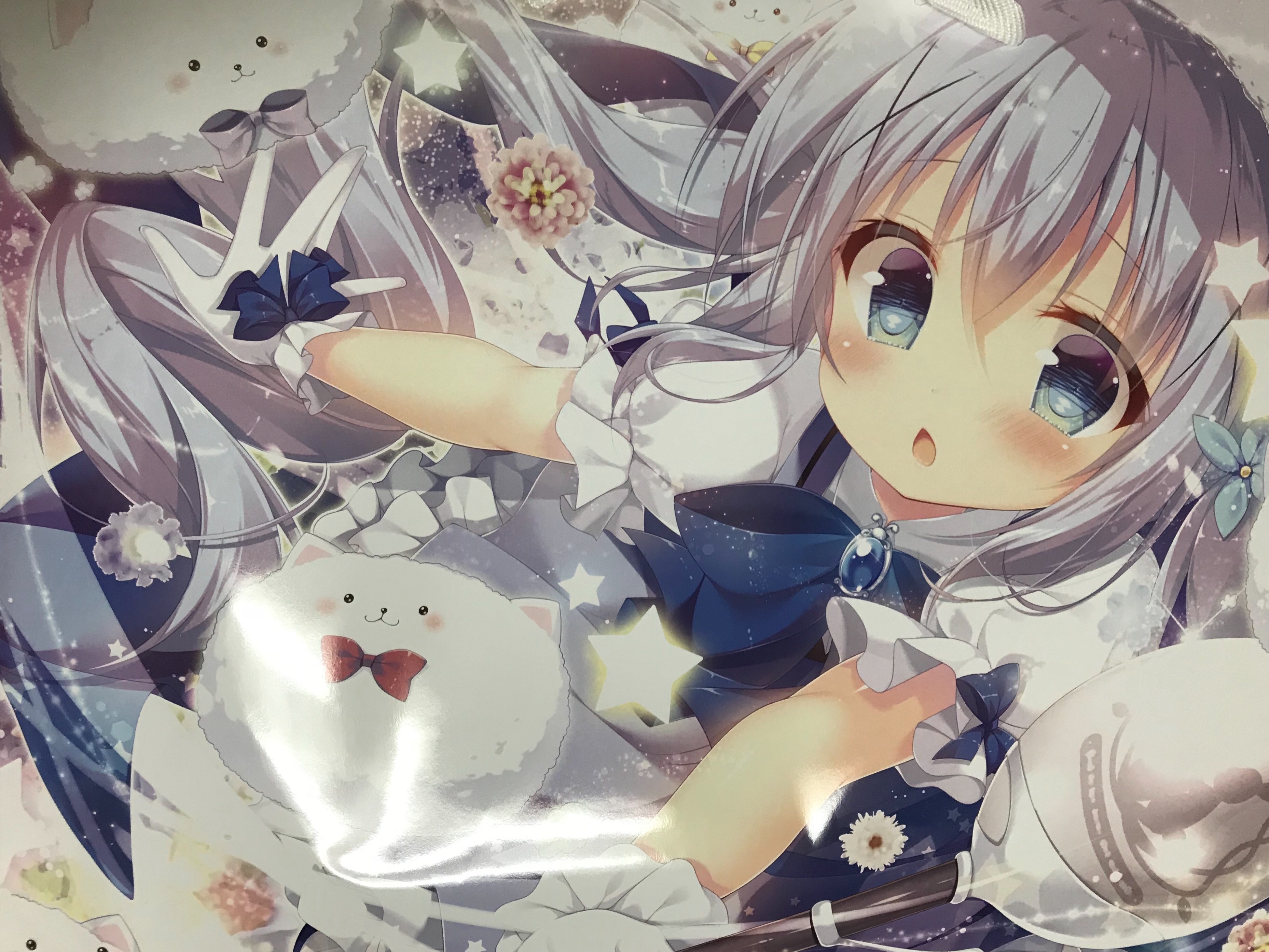 f:id:nyarukami:20171231195820j:image f:id:nyarukami:20171231195820j:image
