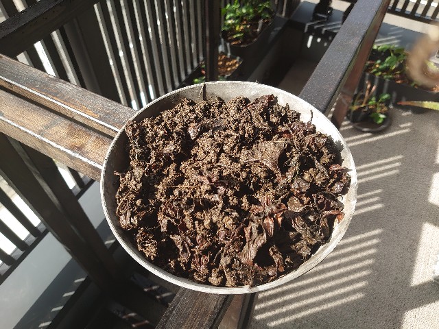 f:id:nyasan-harvest:20210329124311j:image f:id:nyasan-harvest:20210329124311j:image