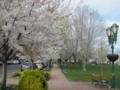 20120407173407