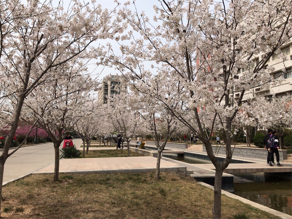 f:id:nykdyabe:20190327114013j:image