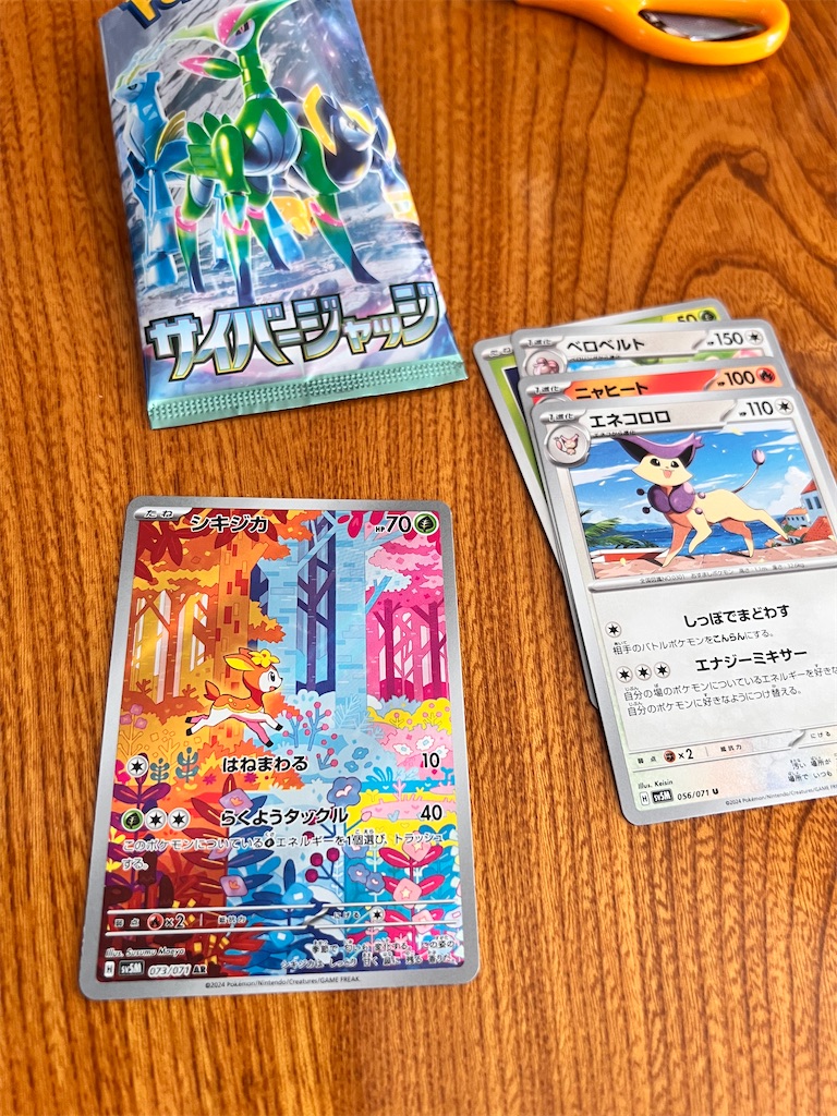 f:id:nymphia:20240126234758j:image