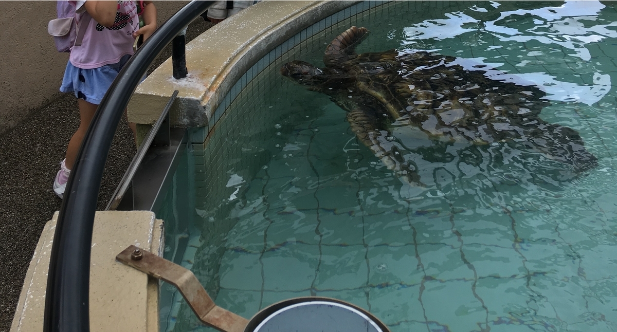 f:id:nyo19772:20190929140235j:plain