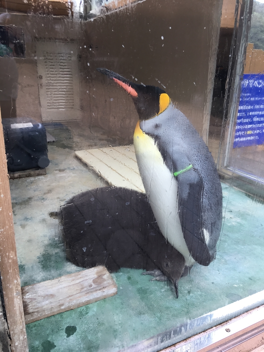 f:id:nyo19772:20190929140432j:plain