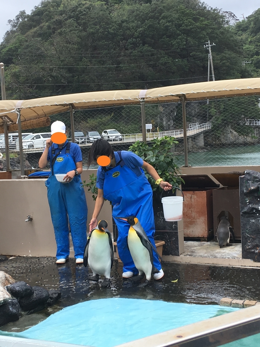 f:id:nyo19772:20190929140625j:plain