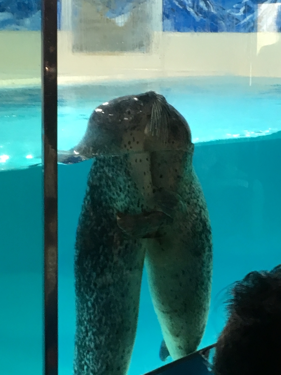 f:id:nyo19772:20190929140802j:plain