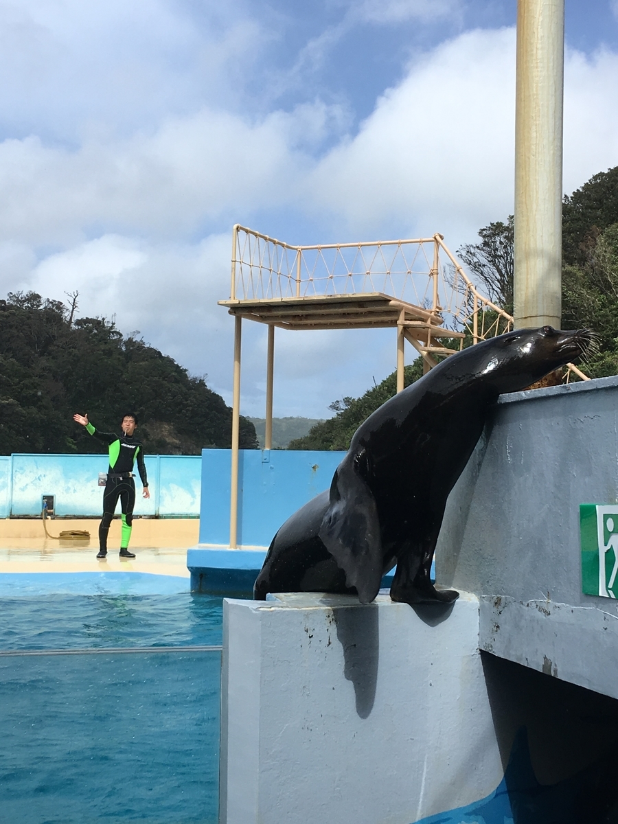 f:id:nyo19772:20190929141038j:plain