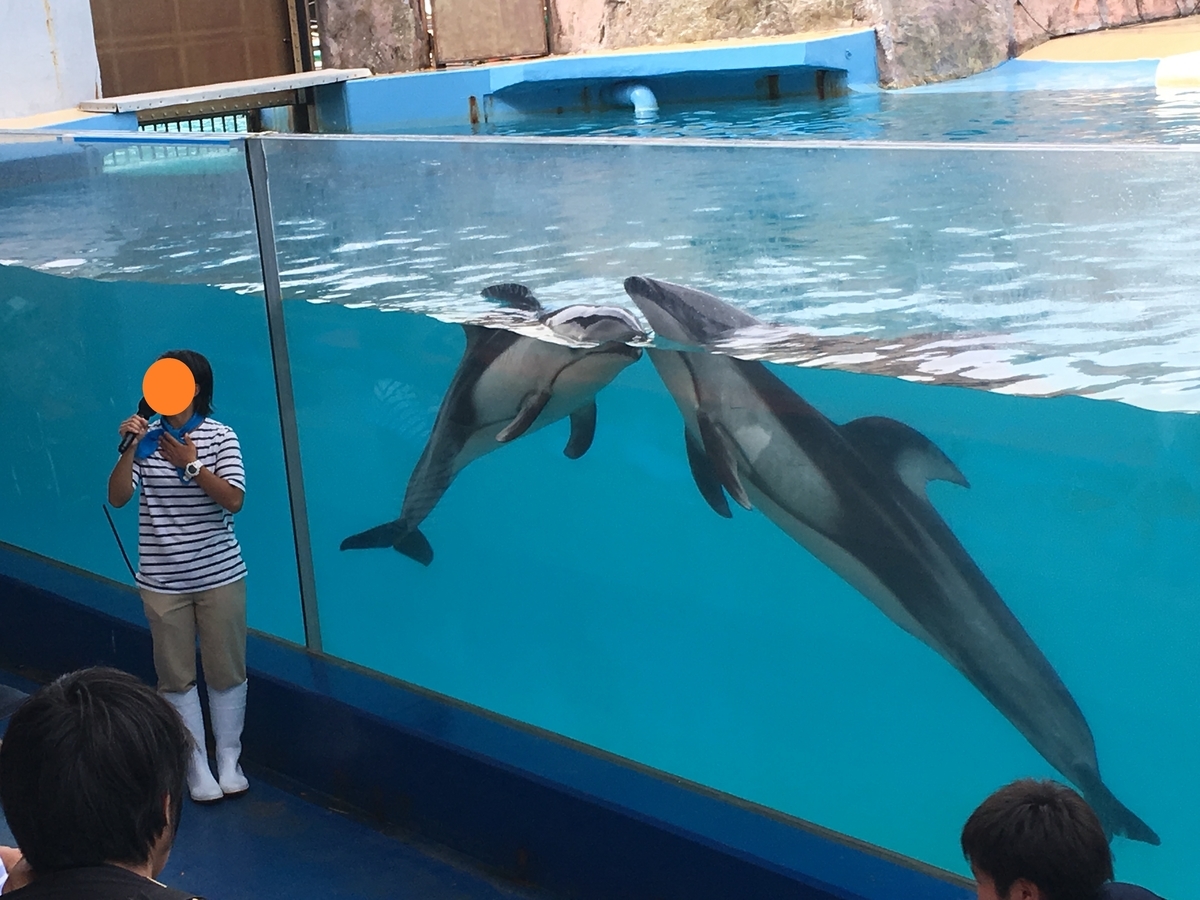 f:id:nyo19772:20190929141112j:plain