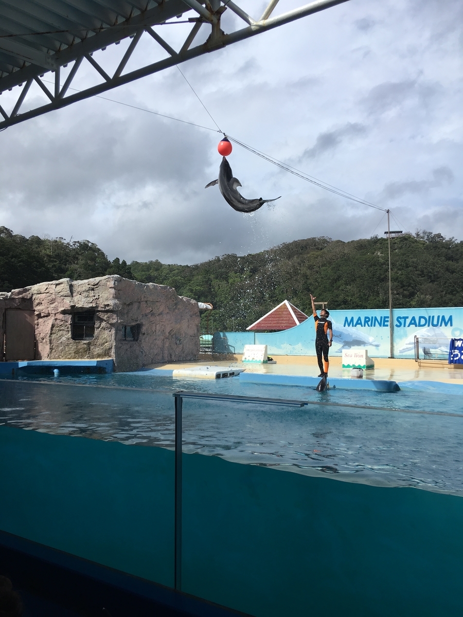 f:id:nyo19772:20190929141118j:plain