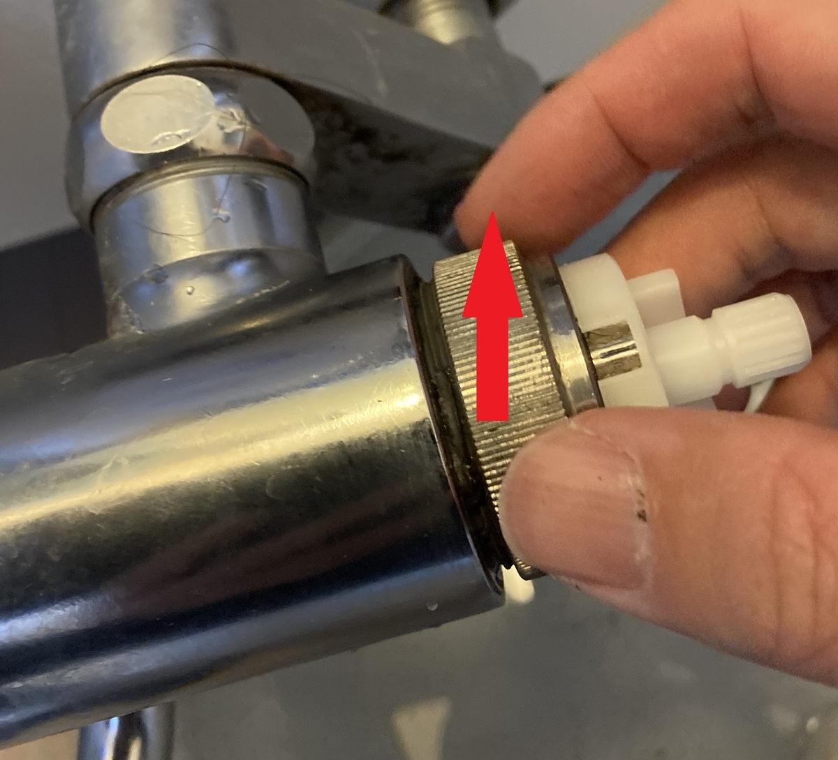 f:id:nyo19772:20211219143109j:plain