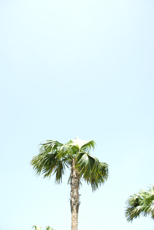 f:id:nyois:20090610150331j:image