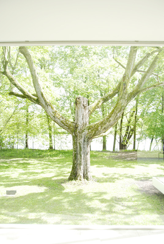 f:id:nyois:20100513162332j:image