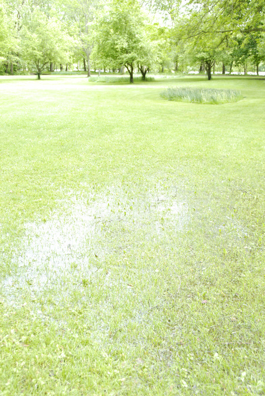 f:id:nyois:20100513163852j:image
