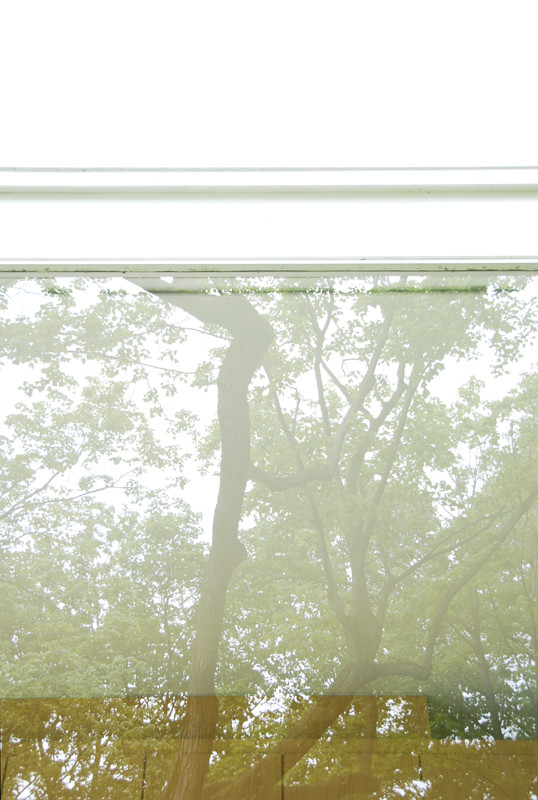 f:id:nyois:20100513164249j:image