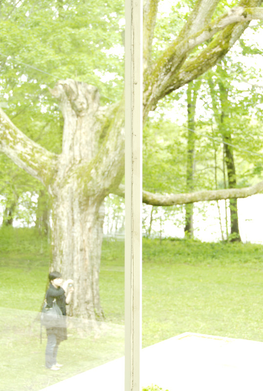 f:id:nyois:20100513164451j:image