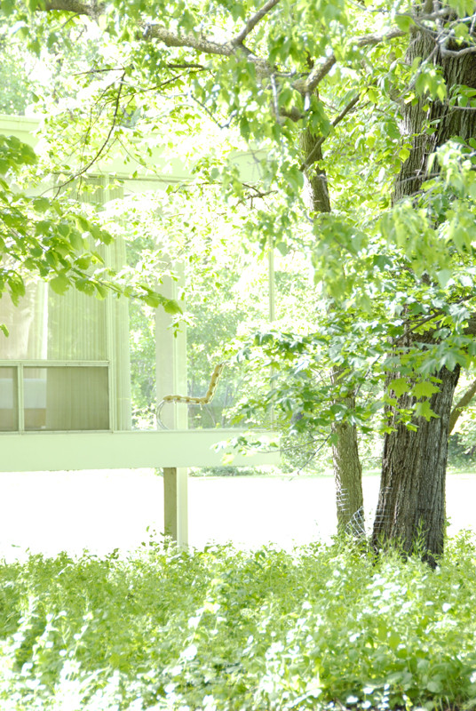 f:id:nyois:20100513170642j:image