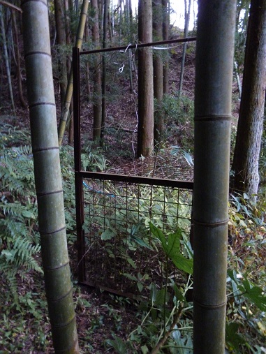 f:id:nyonya-c:20151101173156j:plain