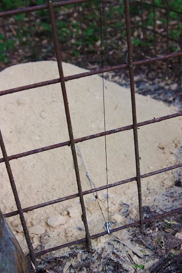 箱罠のかけ方 備忘録 いちの木の小屋と山