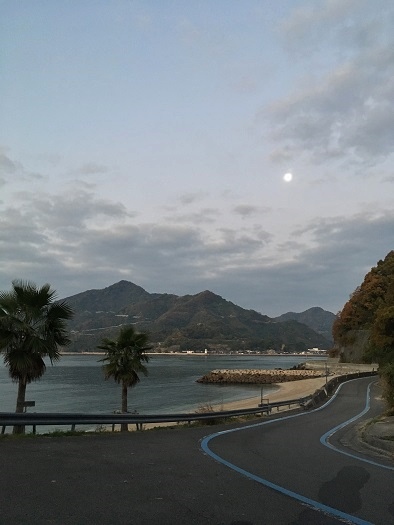 f:id:nyonya-c:20181218213915j:plain