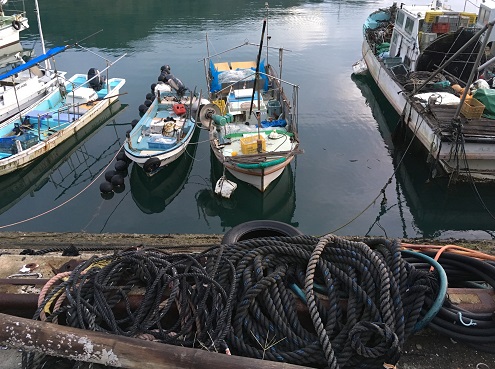 f:id:nyonya-c:20181218214242j:plain