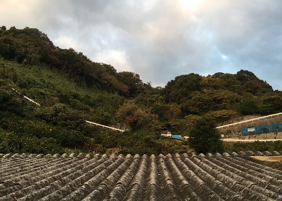 f:id:nyonya-c:20181219123624j:plain