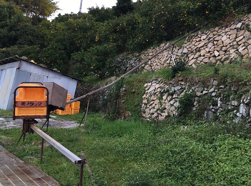 f:id:nyonya-c:20181219123704j:plain