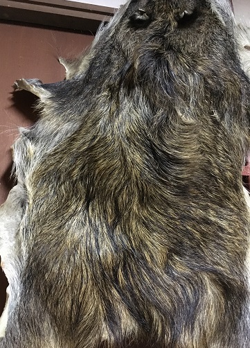 f:id:nyonya-c:20200110102025j:plain