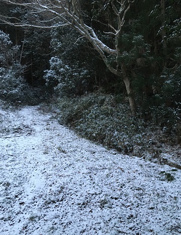 f:id:nyonya-c:20210110124316j:plain