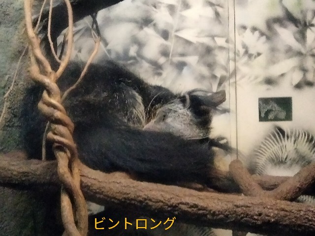 f:id:nyorokero:20241006200515j:image f:id:nyorokero:20241006200515j:image