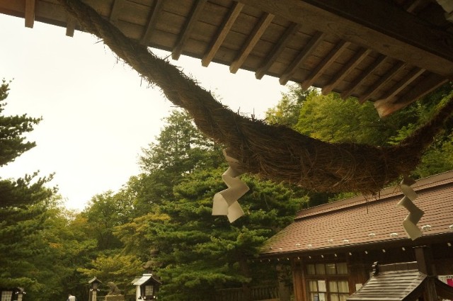 f:id:nyorokolog:20190922133723j:image