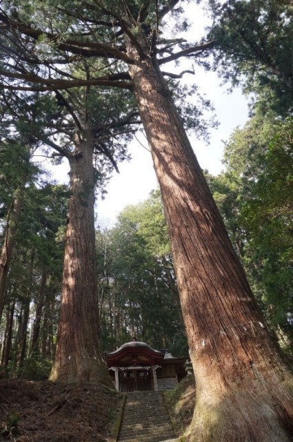 f:id:nyorokolog:20190922153104j:image