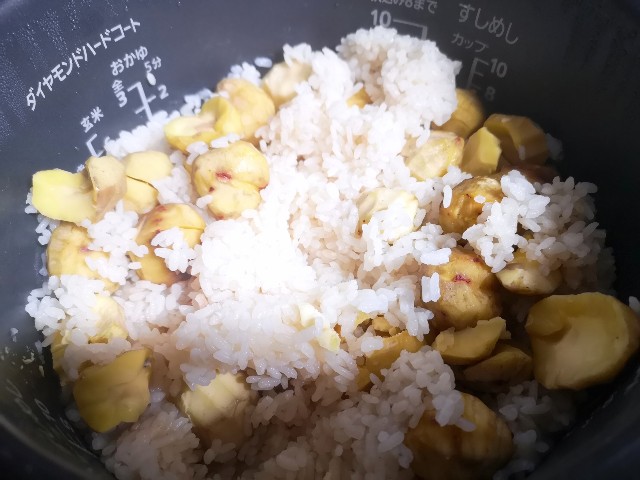 f:id:nyorokolog:20190926203409j:image f:id:nyorokolog:20190926203409j:image