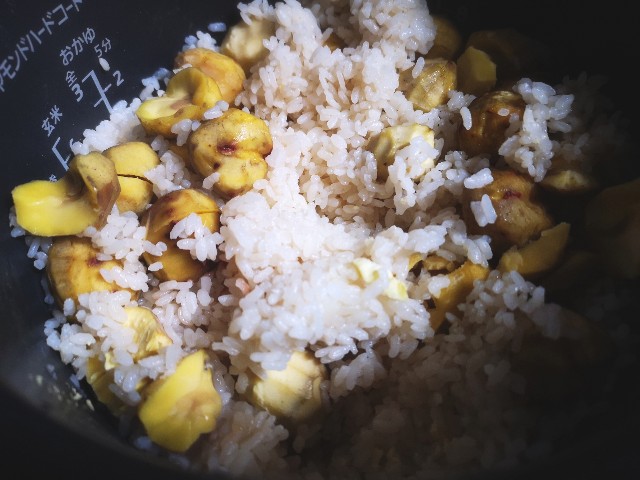 f:id:nyorokolog:20190926203420j:image f:id:nyorokolog:20190926203420j:image