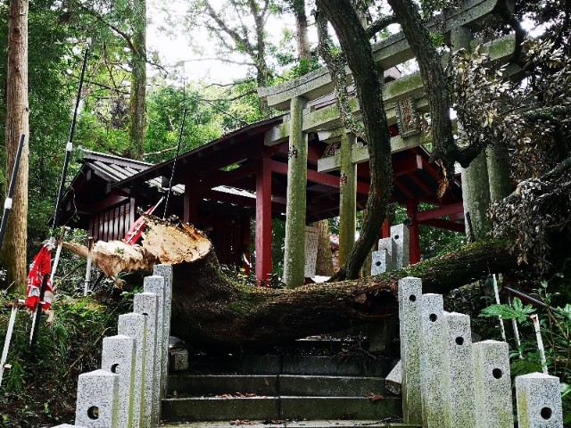 f:id:nyorokolog:20190929185825j:image