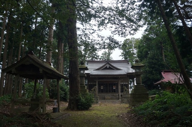 f:id:nyorokolog:20191003194723j:image
