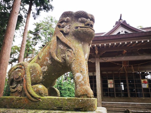 f:id:nyorokolog:20191003195415j:image