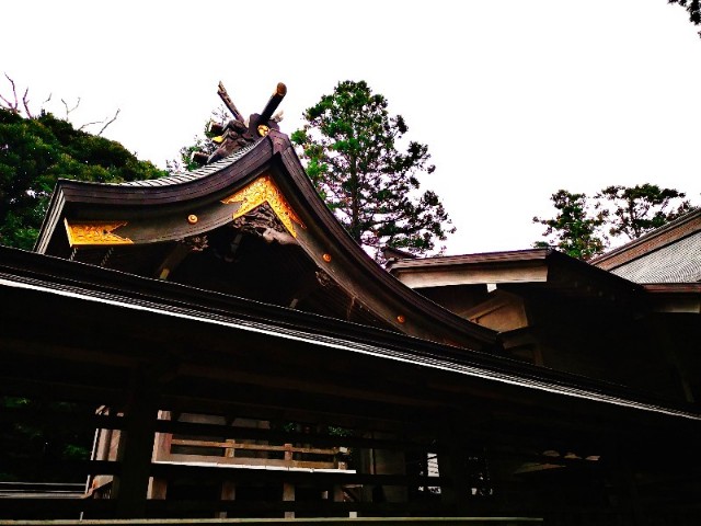 f:id:nyorokolog:20191003195435j:image