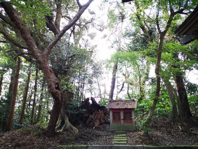 f:id:nyorokolog:20191012122023j:image f:id:nyorokolog:20191012122023j:image