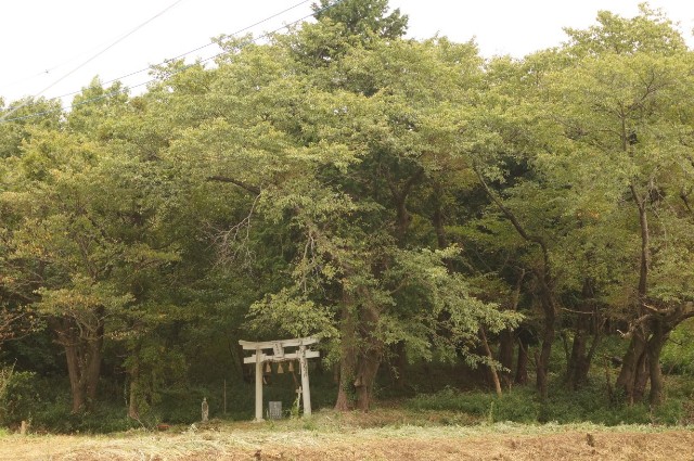 f:id:nyorokolog:20191021211635j:image f:id:nyorokolog:20191021211635j:image