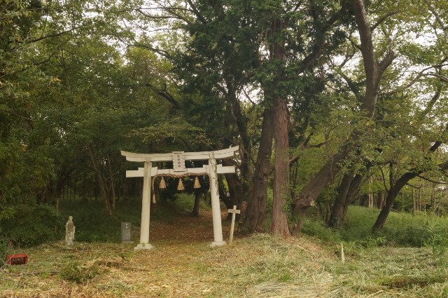 f:id:nyorokolog:20191021212938j:image f:id:nyorokolog:20191021212938j:image