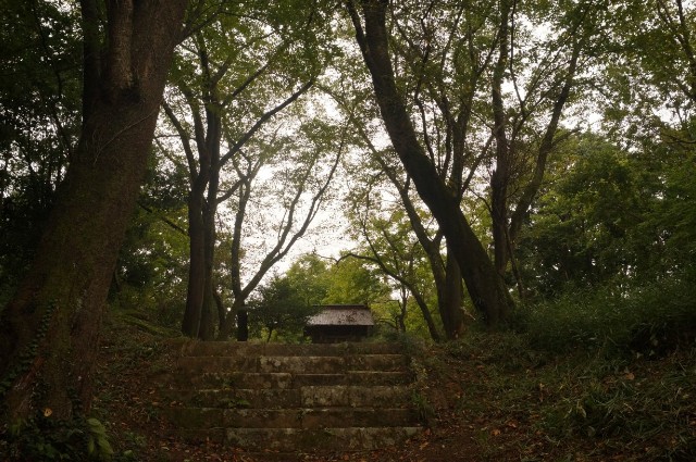 f:id:nyorokolog:20191021213535j:image f:id:nyorokolog:20191021213535j:image