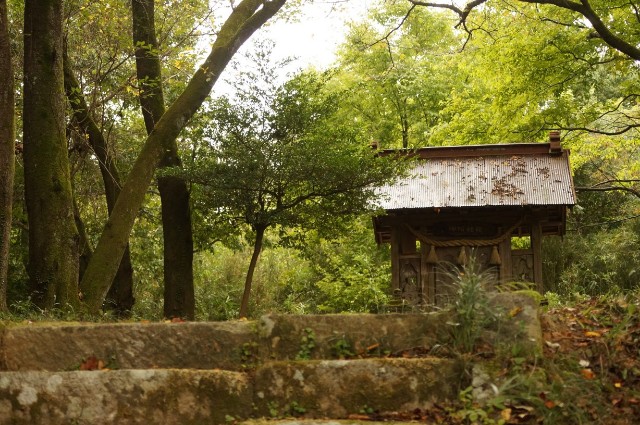 f:id:nyorokolog:20191021213555j:image f:id:nyorokolog:20191021213555j:image