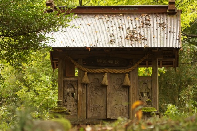 f:id:nyorokolog:20191021214615j:image f:id:nyorokolog:20191021214615j:image