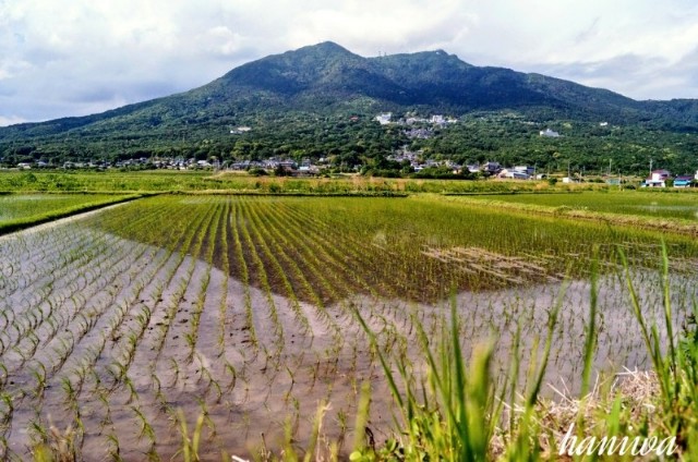 f:id:nyorokolog:20191021215628j:image f:id:nyorokolog:20191021215628j:image